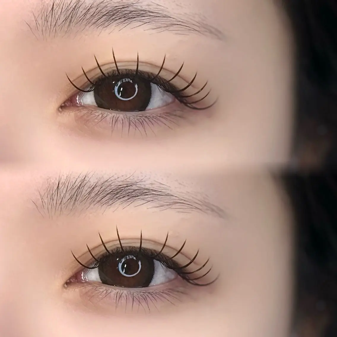 【初回オフ無料🫧】 🎀《 flat matte lash 100本 》ナチュ盛れeye ¥6600➪¥4950の写真