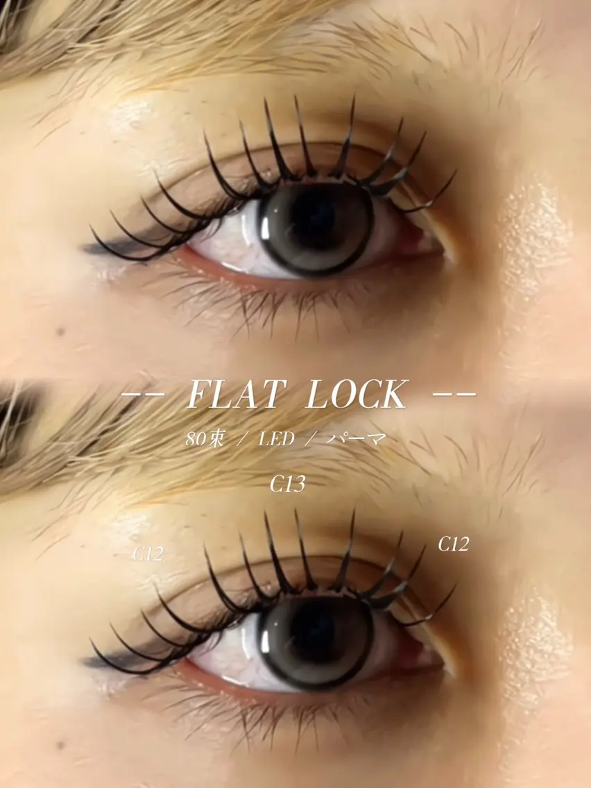 【LED】フラットロック　80束の写真