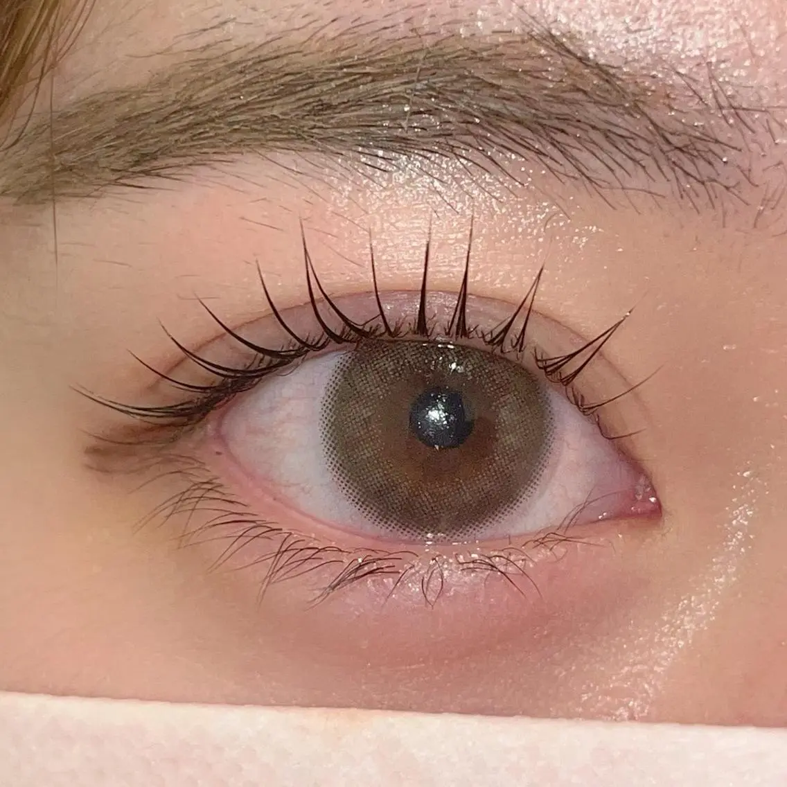 マツエク・マツパ パリジェンヌラッシュリフト まつげパーマ ai一重専門🎀束感 まつげ🫧表参道の眉毛・アイブロウイメージ