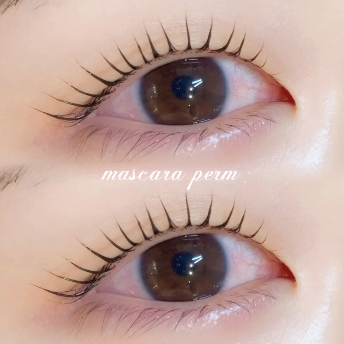 マツエク・マツパ マツパ 似合わせ提案🎀 垢抜けまつ毛&眉毛のマツエク・マツパデザイン