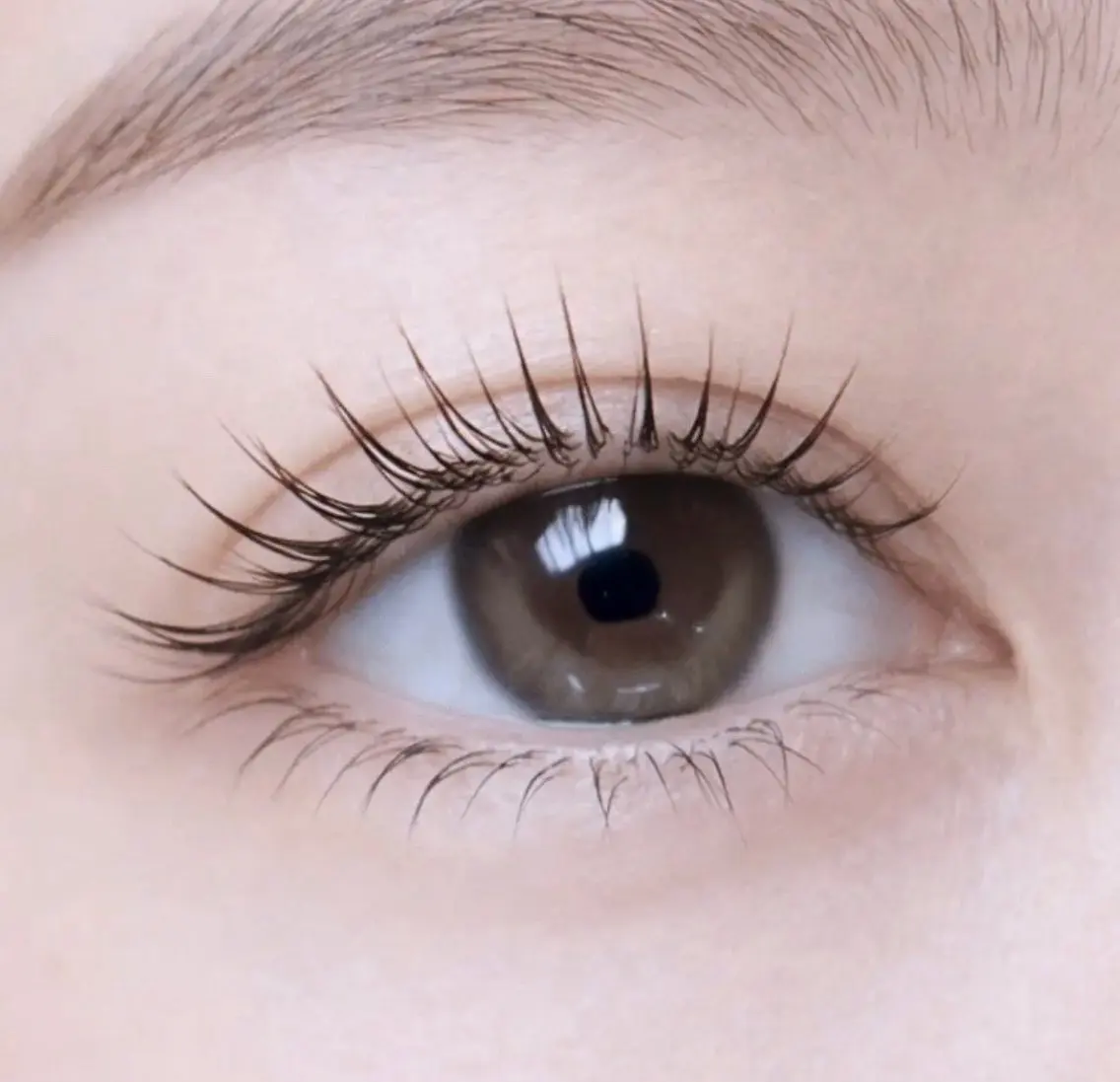 マツエク・マツパ マツエク calme. eyelashのマツエク・マツパデザイン