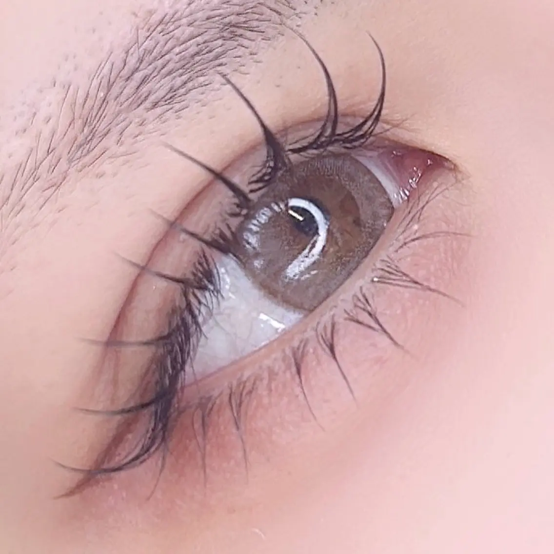 🎀新規様限定🎀flat lash 100本 +下まつげパーマ《オフ込み》束感仕上げ付き ✩の写真