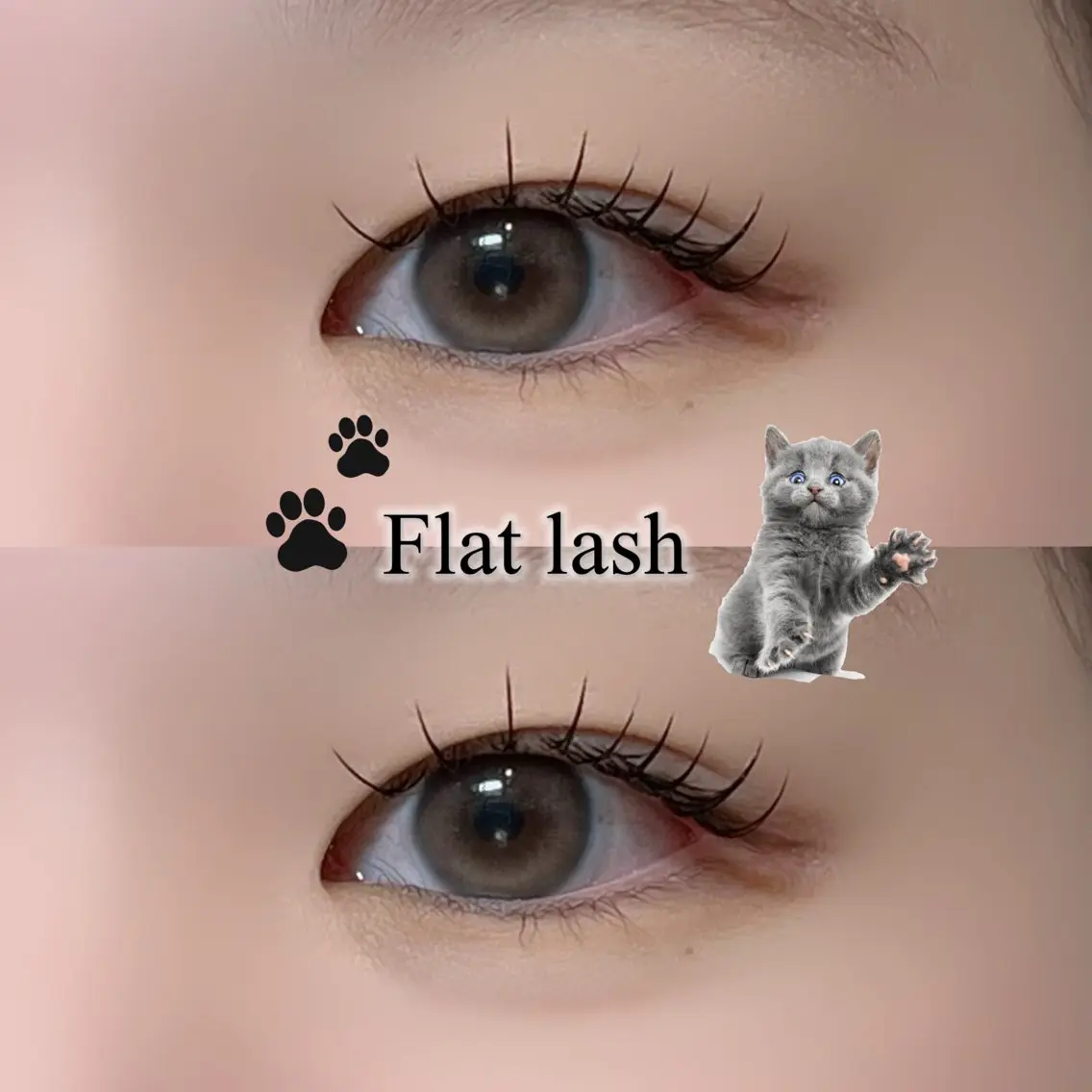 マツエク・マツパ 束感まつ毛 フラットラッシュ マツエク ayano🐾 eightのマツエク・マツパデザイン