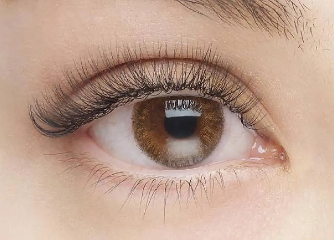 マツエク・マツパ ボリュームラッシュ Re Eyes+ 美波のマツエク・マツパデザイン