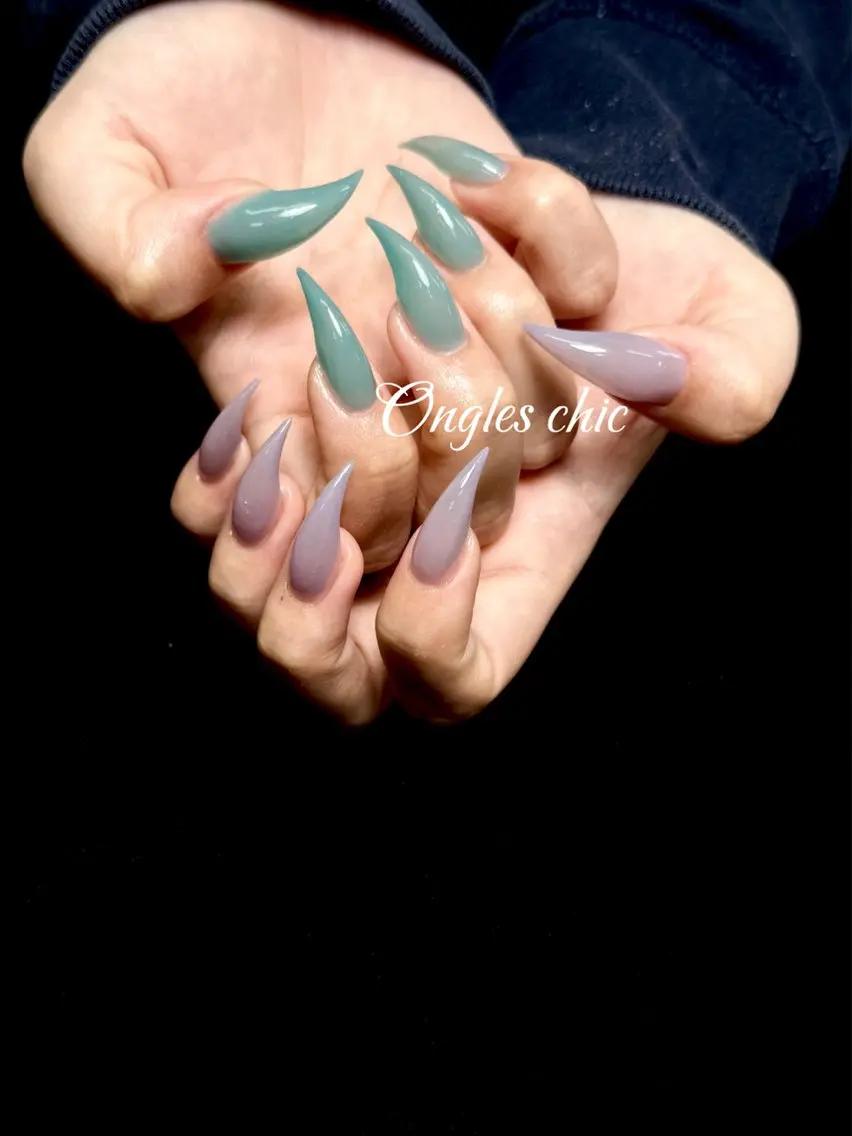 ネイル ハンドネイル ongles chicのネイルデザイン