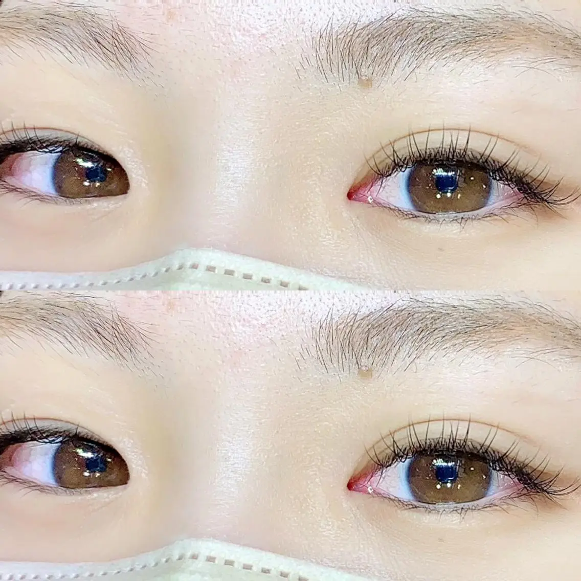 フラットラッシュ80本の写真