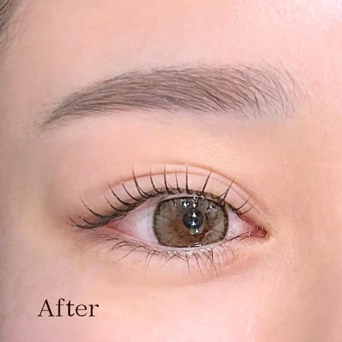 マツエク・マツパ 一重×まつ毛パーマ 骨格似合わせ眉WAX 眉まつ毛専門/あすみの眉毛・アイブロウイメージ