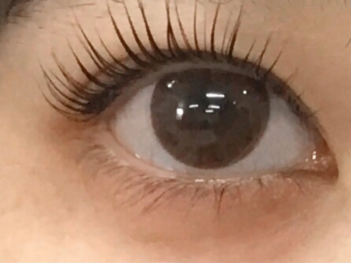 パーマ Nail& Eyelashパレスのマツエク・マツパデザイン