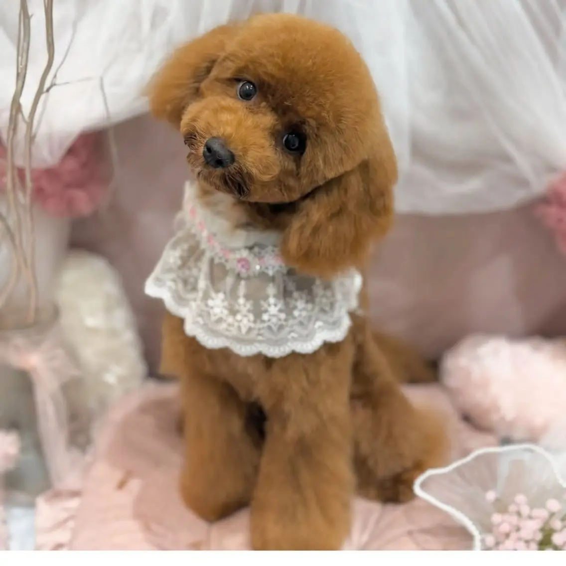 ネイル その他 Uchida Mayunaのその他イメージ