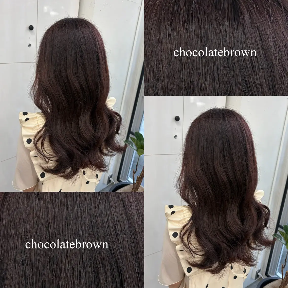 セミロング カラー ブラウンカラー ショコラブラウン チョコレートブラウン 透明感カラー カット ヘアカラー 🍊あすか🍊 JILLSTUDIOのヘアスタイル