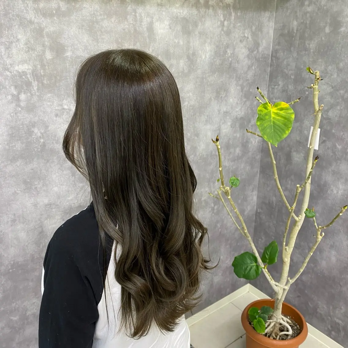 ロング カラー ヘアアレンジ オリーブカラー 🪼かえで🪼臼井 髪質改善/縮毛矯正のヘアスタイル