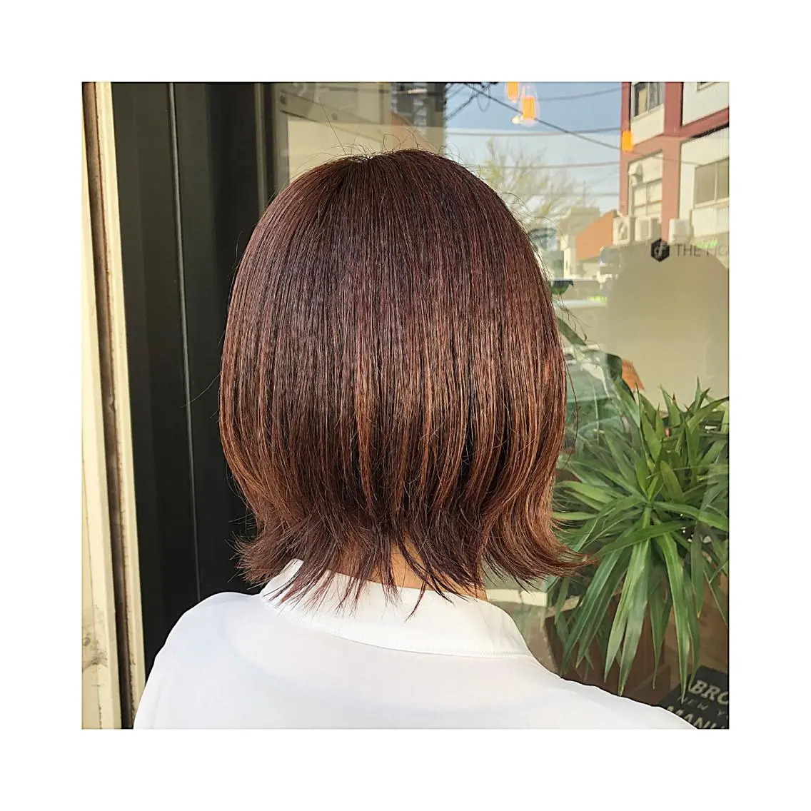ショート カラー ボブレイヤー ボブ レイヤーカット ウルフカット ◇おの あすか◇のヘアスタイル