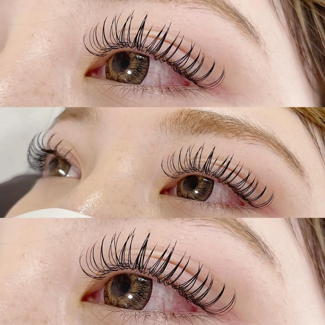 マツエク・マツパ 付け放題 Dカール フラットラッシュ マツエク miu. eyelashのマツエク・マツパデザイン