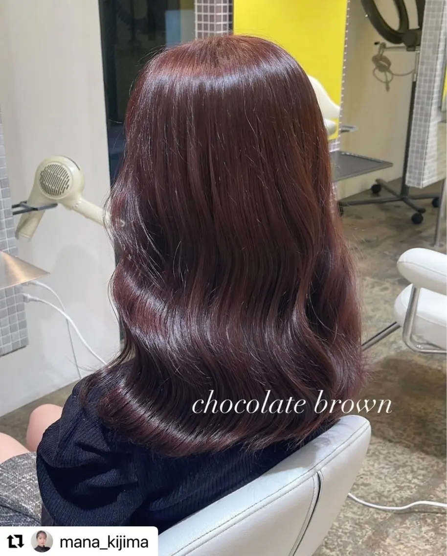 ロング チョコレートブラウン カット ヘアカラー 鬼嶋 愛のヘアスタイル