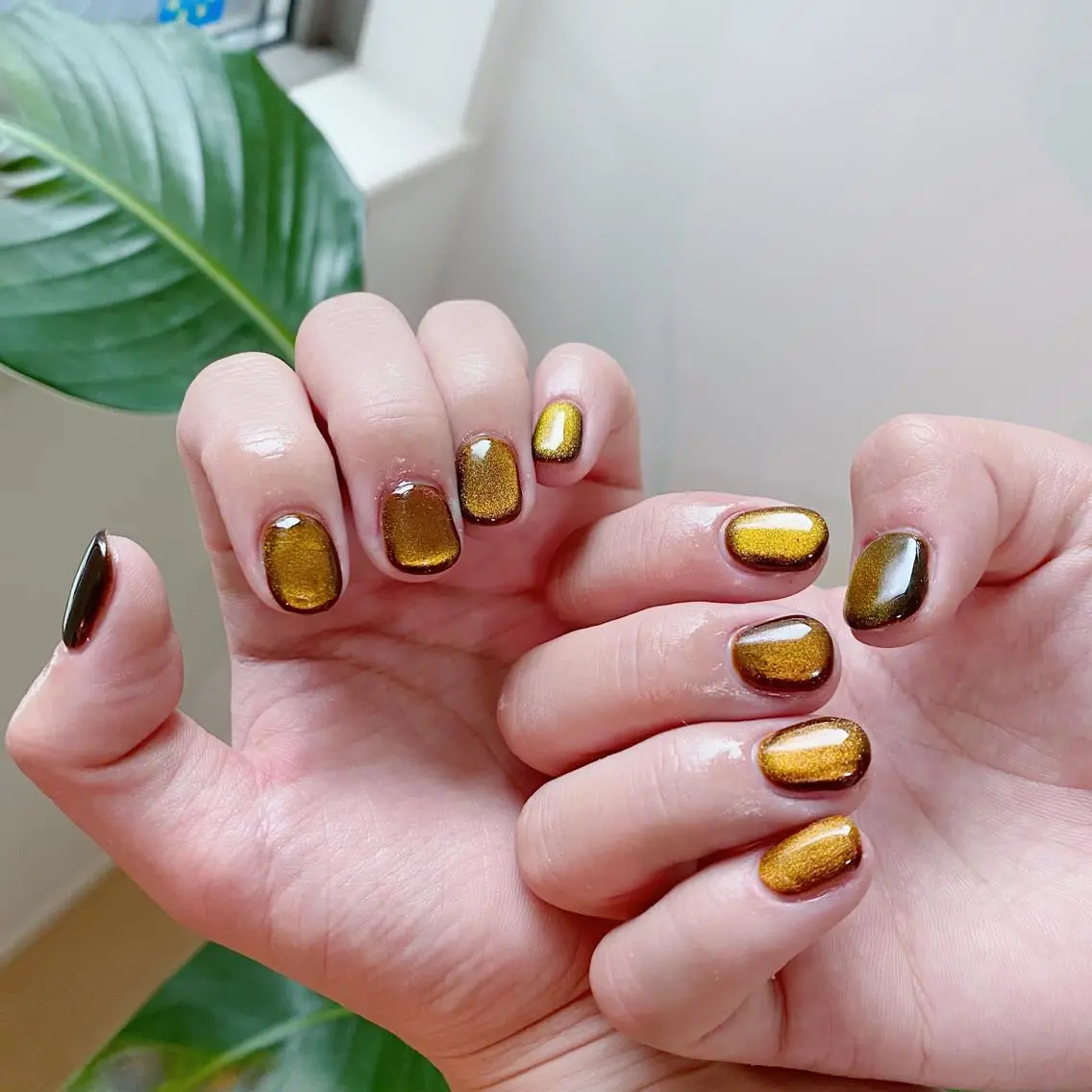 🦄オフ有【MAGNET COURSE 】マグネット⚠️スカルプオフ+¥1,000の写真