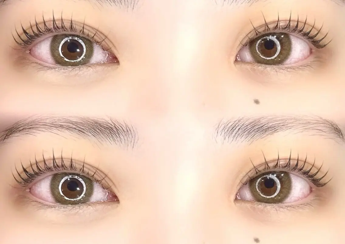 平日限定メニューの写真
