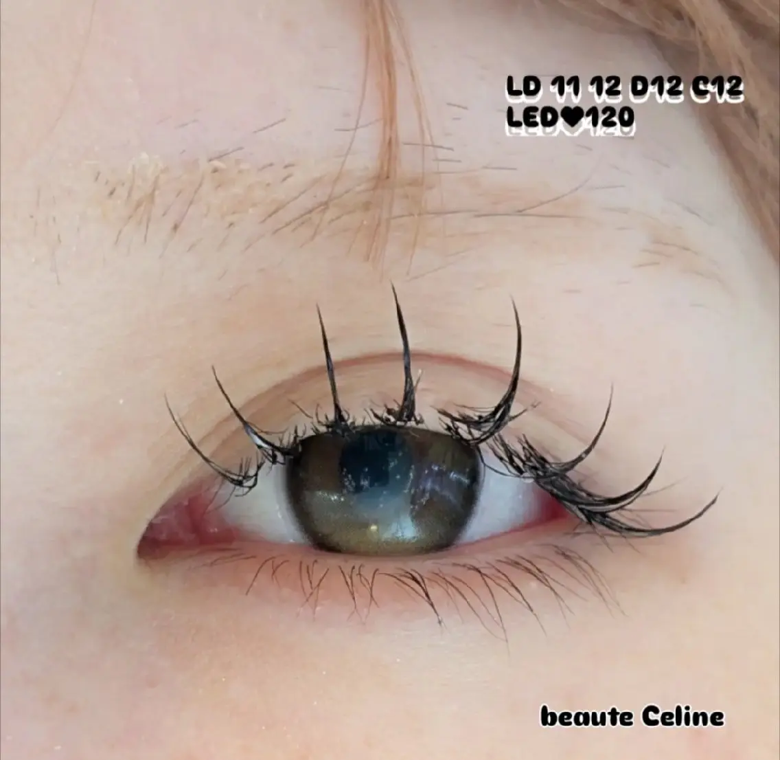 マツエク・マツパ マツエク LED✨beaute Celine🌛🌹のマツエク・マツパデザイン