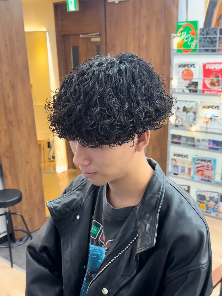 パーマ メンズ メンズパーマ プードルパーマ プードルパーマ 横浜メンズパーマ/ シャドウ/ショウゴのヘアスタイル