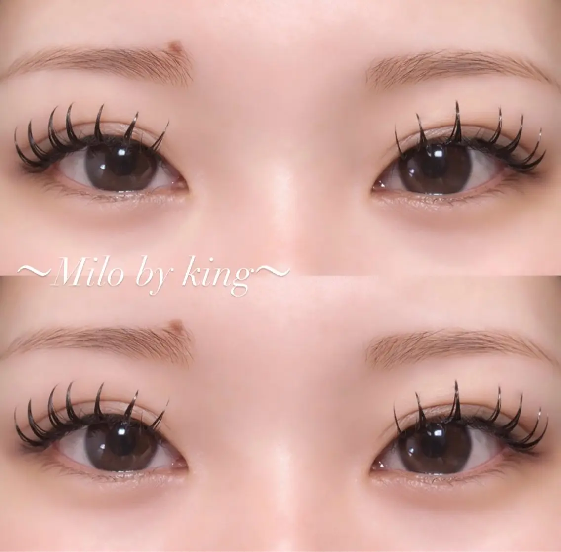 マツエク・マツパ 👑𝐊𝐢𝐧𝐠 心斎橋MIREI🌺のマツエク・マツパデザイン