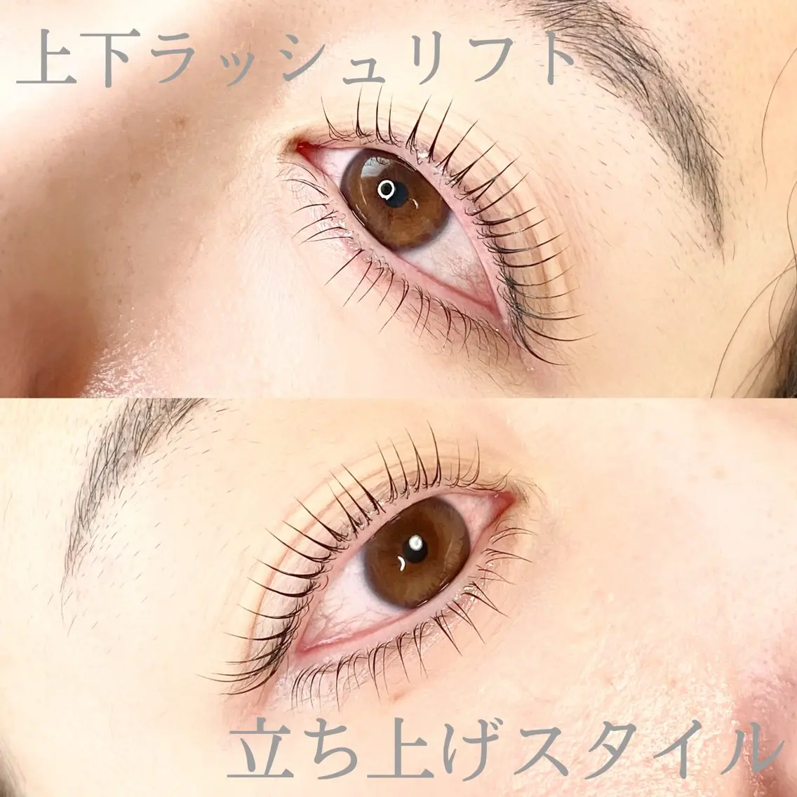 【ミニモ限定！】上下ラッシュリフト(まつげパーマ) 【高濃度トリートメント アイシャンプー コーティング仕上げ付き】の写真