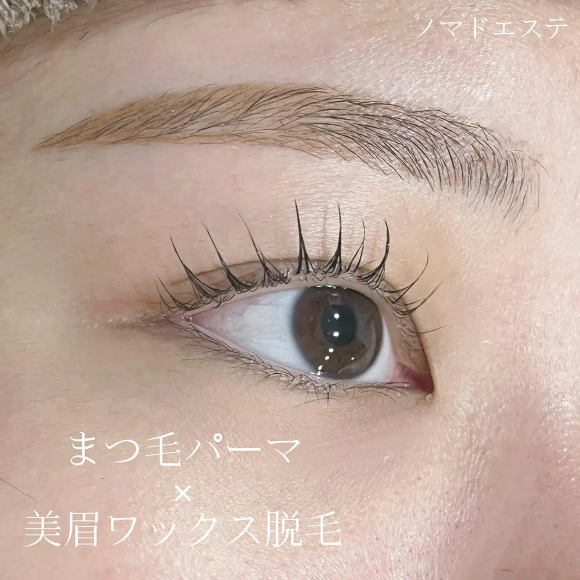 【上まつ毛パーマ×美眉ワックス脱毛】セットメニュー🕊️✨の写真