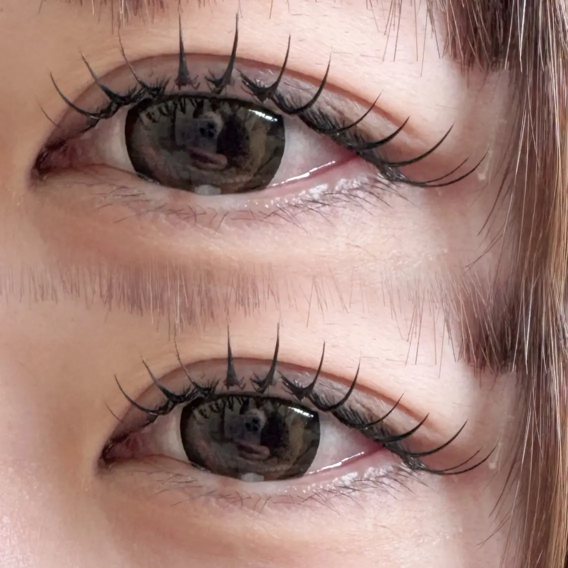 マツエク・マツパ eyelash lilyのマツエク・マツパデザイン