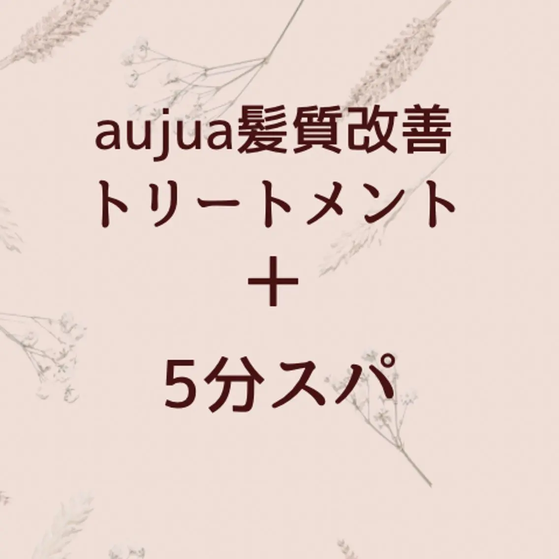 【最高級ケア】Aujua 7STEPトリートメント＋5分スパの写真