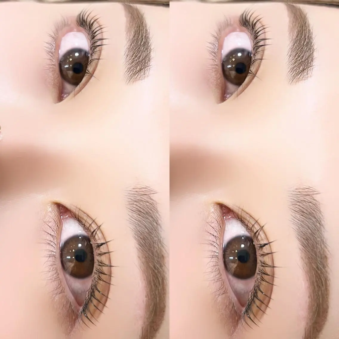 【お得なセット】🌈パリジェンヌ(まつ毛カール可🌸)+眉waxスタイリング🌈の写真