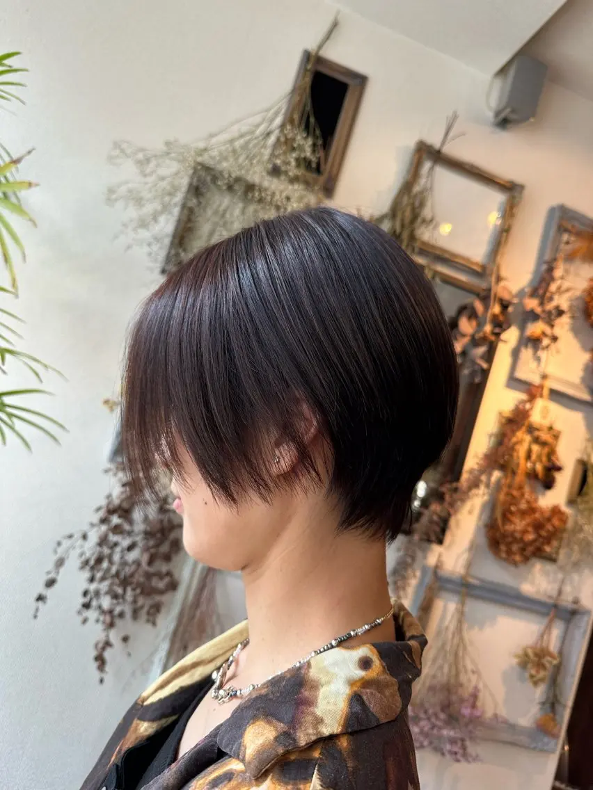ショート カラー ハンサムショート ショートヘア カット ヘアカラー トリートメント 💜推しインナー カラー/菊池柊真💜のヘアスタイル