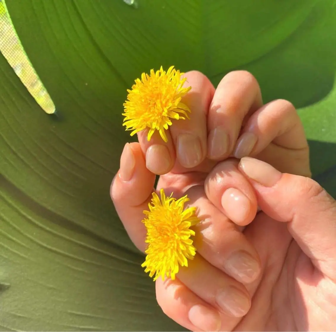 ネイル ワンカラーネイル Heho nailのネイルデザイン