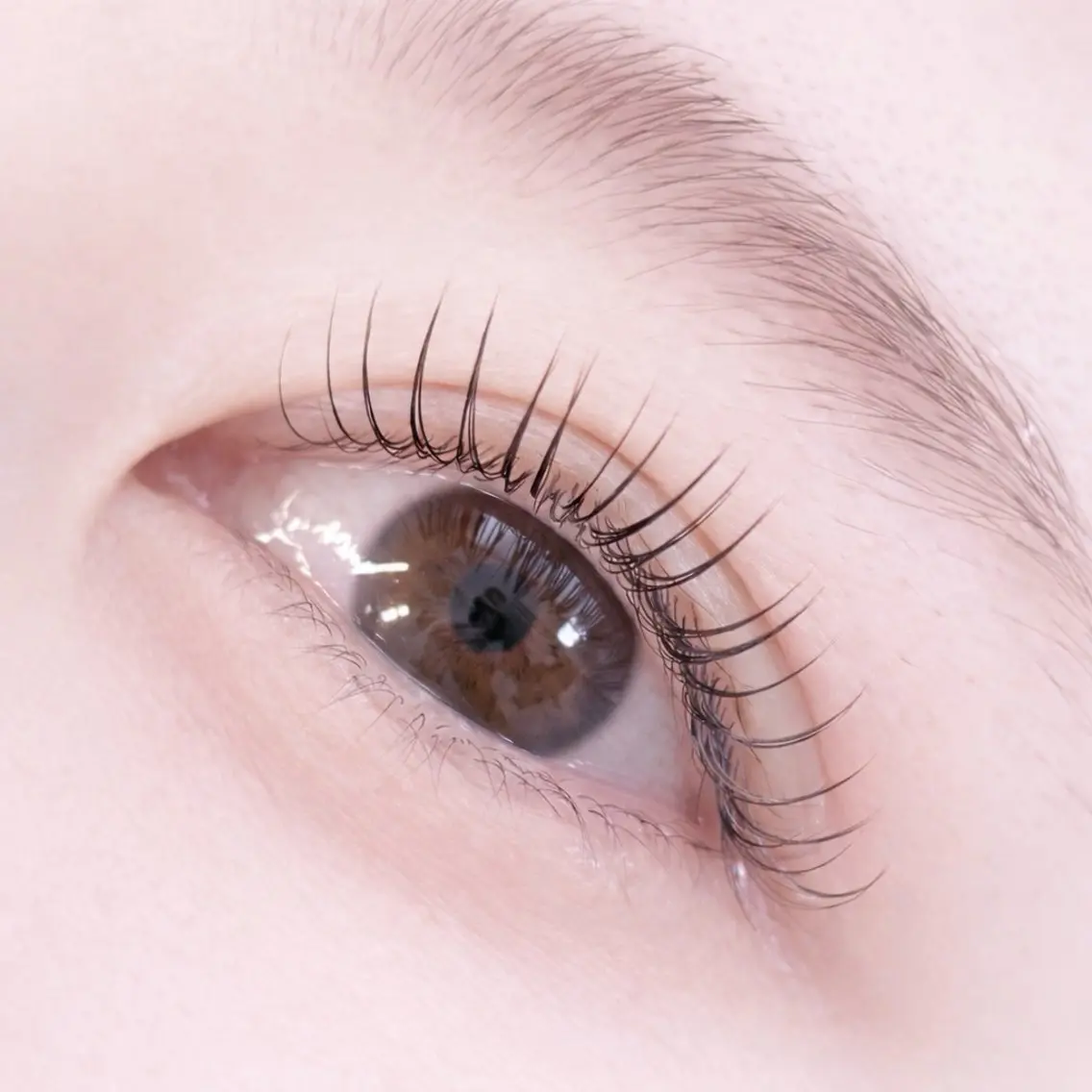 マツエク・マツパ パリジェンヌラッシュリフト 一重×まつ毛パーマ EYEVY 門前仲町のマツエク・マツパデザイン