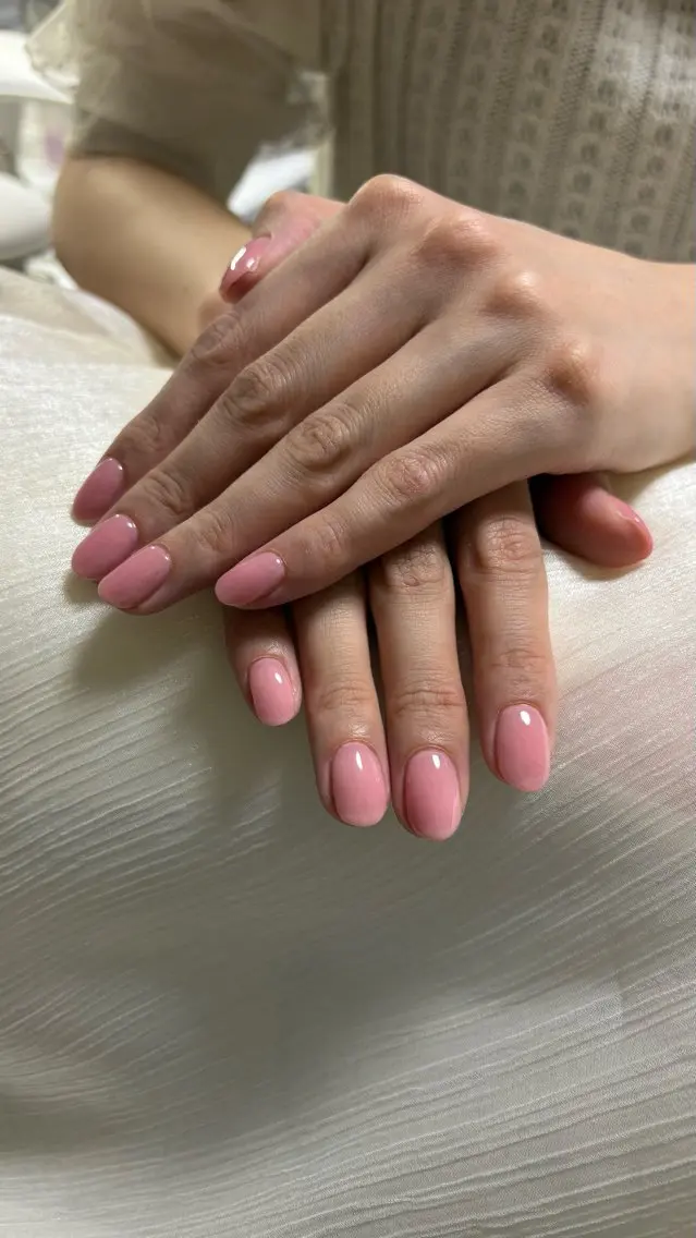 ワンカラーの写真