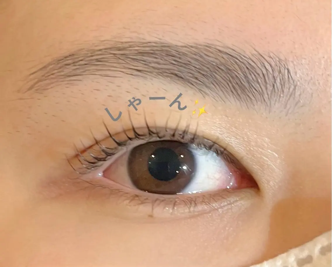 マツエク・マツパ パリジェンヌラッシュリフト まつげパーマ 🧸 Emiri🫧のマツエク・マツパデザイン