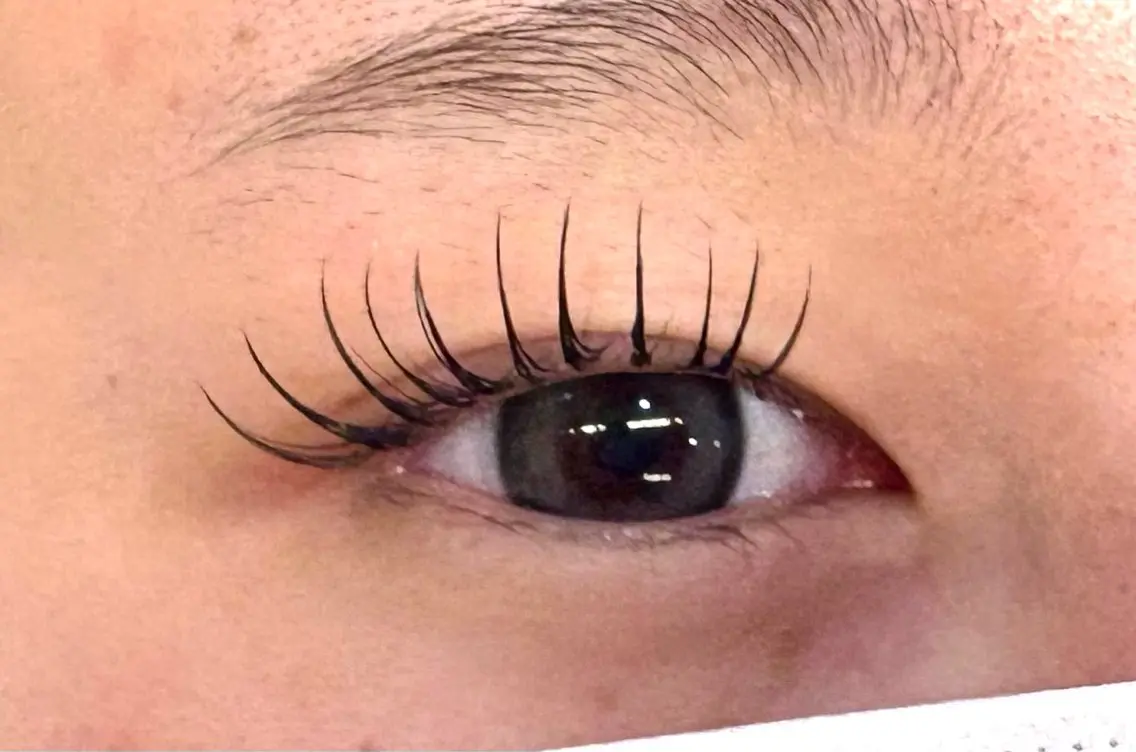 パリエク❣️(100本)の写真