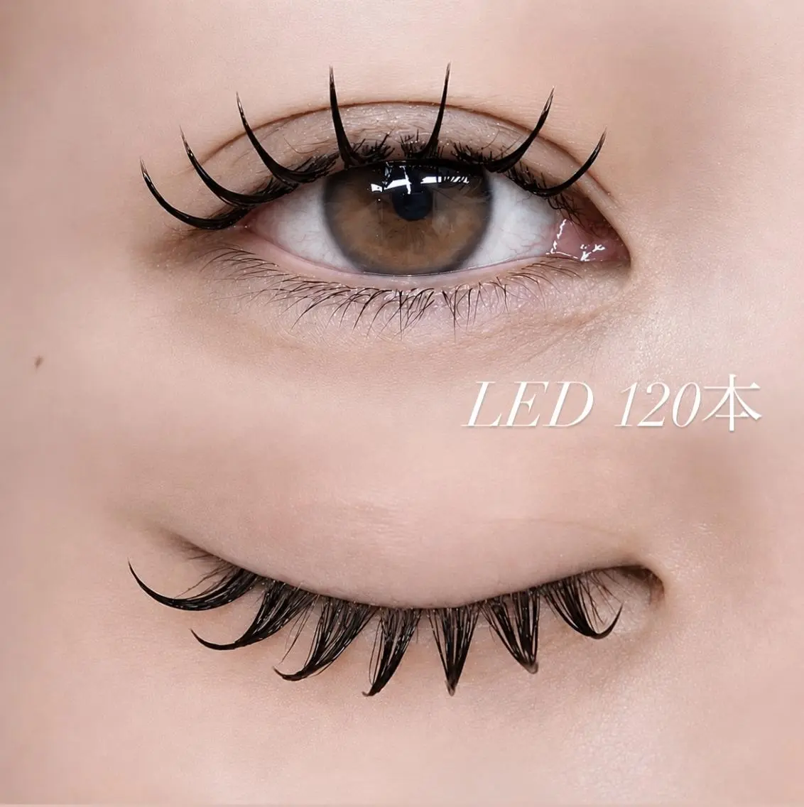 ☆まつ毛エクステ☆　LEDフラットラッシュ１2０本(コーティング仕上げ込)価格７９００円→５０００円(税込)の写真
