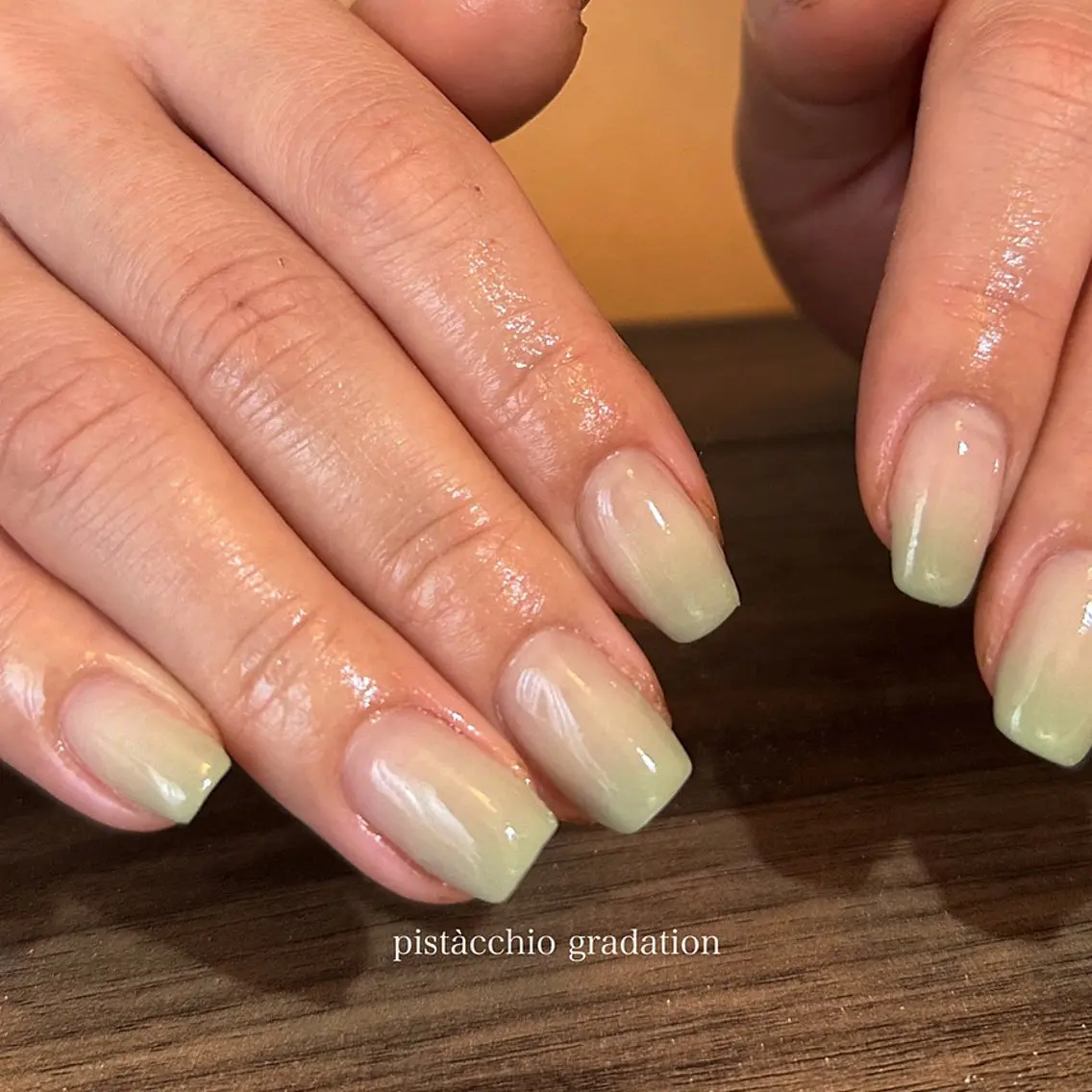 gradation(base clear)の写真