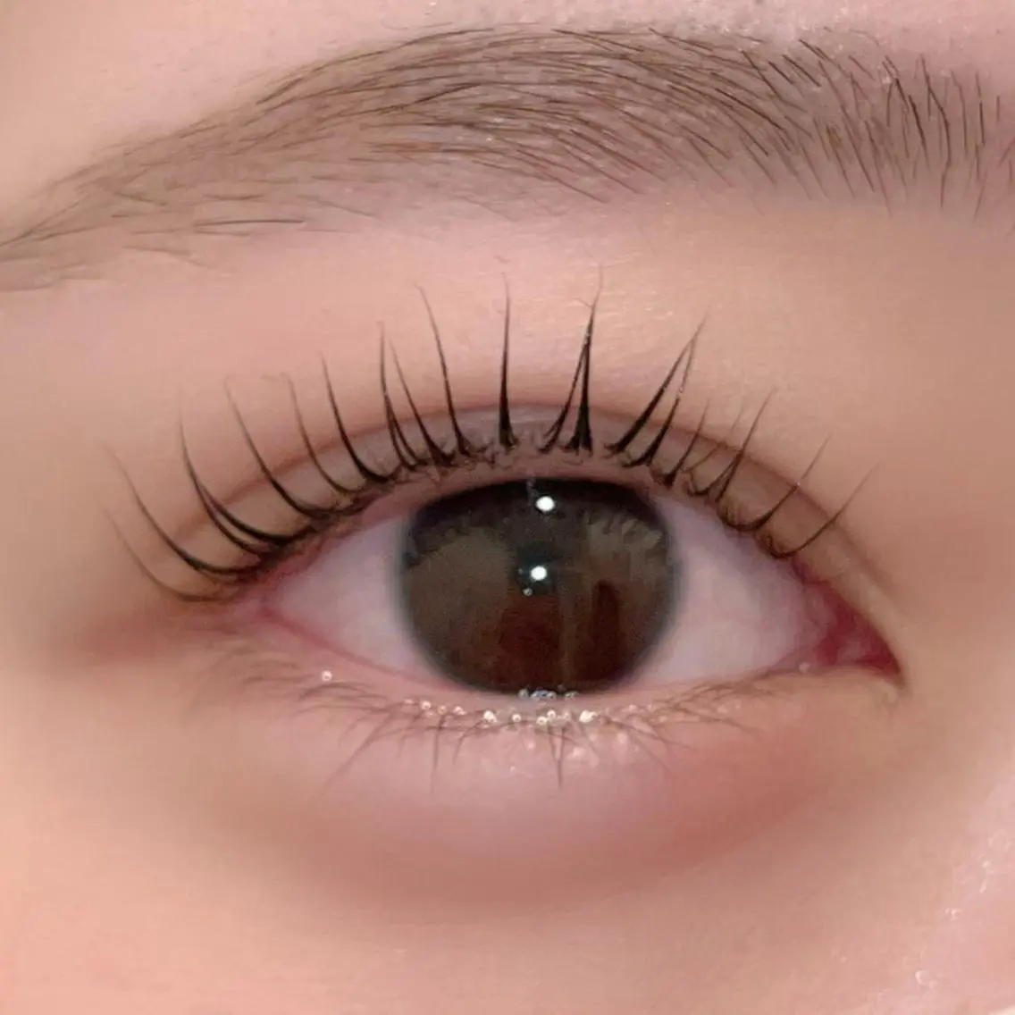 マツエク・マツパ パリジェンヌラッシュリフト まつげパーマ ai一重専門🎀束感 まつげ🫧表参道の眉毛・アイブロウイメージ