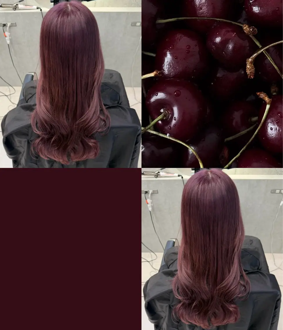 🩶練習モデル🩶ブリーチ+ワンカラー+1step TR✨の写真
