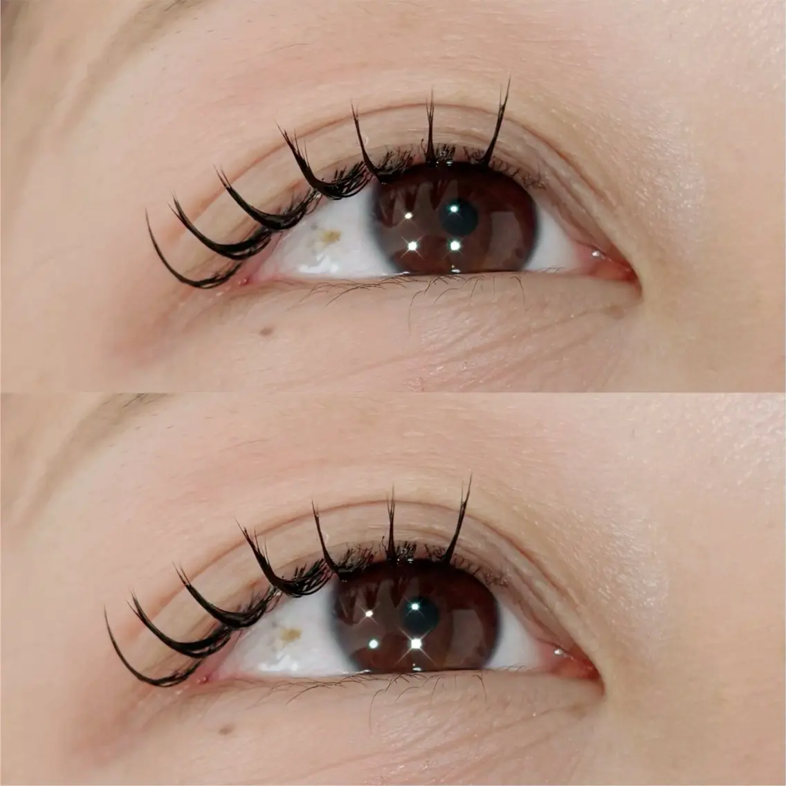 マツエク・マツパ mayu. eyelash🌺のマツエク・マツパデザイン