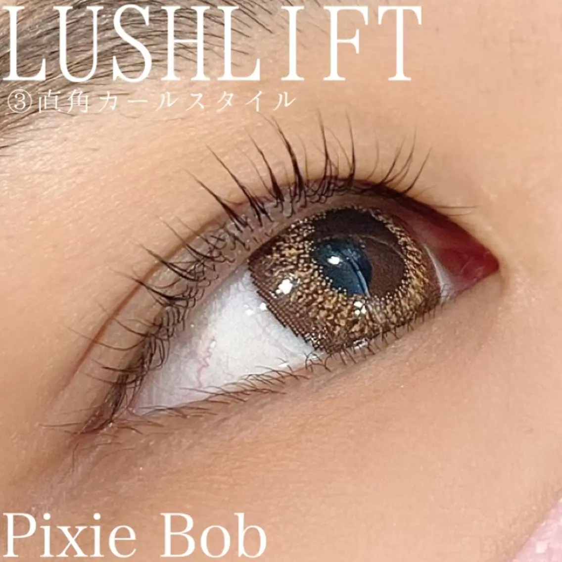 マツエク・マツパ カラーマツエク Pixie Bob 🐈‍⬛　位田のマツエク・マツパデザイン