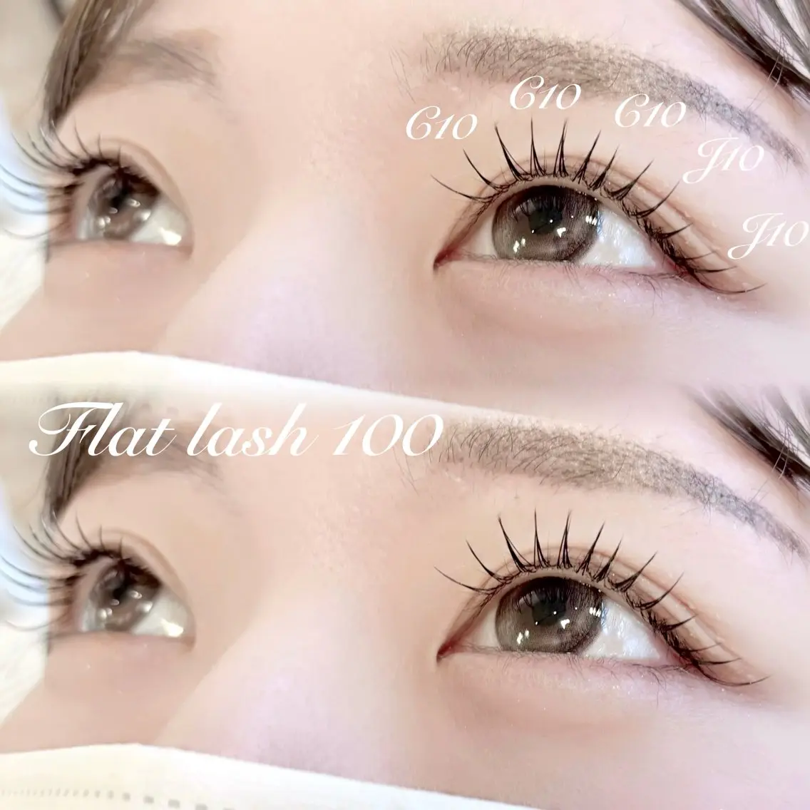 フラットラッシュ100本+アイシャンプーの写真