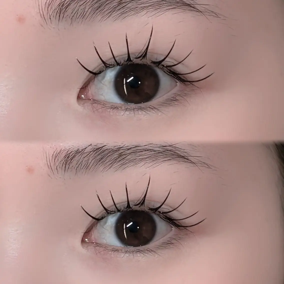 マツエク・マツパ 束感まつ毛 パリジェンヌラッシュリフト マツエク salon Dahliaくるみのマツエク・マツパデザイン