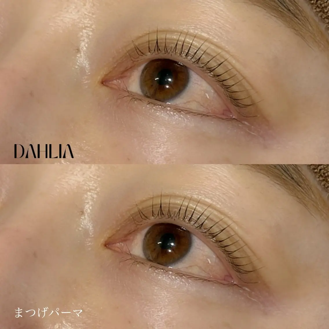 マツエク・マツパ まつげパーマ Dahliaダリア 斉藤のマツエク・マツパデザイン