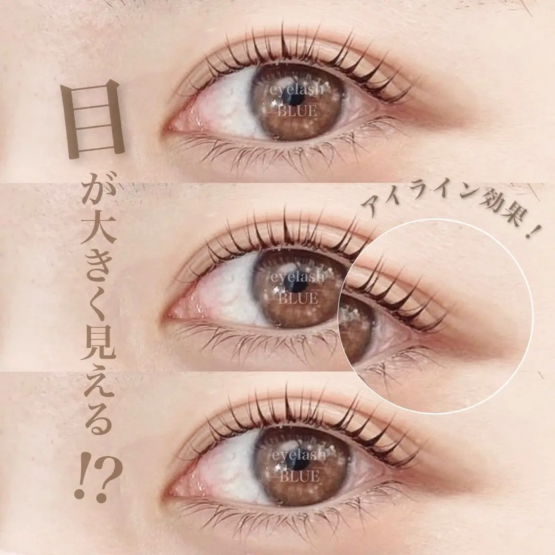 【お持ち帰りラッシュアディクト付❕】まつ毛パーマorパリジェンヌ&ラッシュアディクト美容液付∴∵∴ ୨୧ ∴∵∴ ୨୧の写真