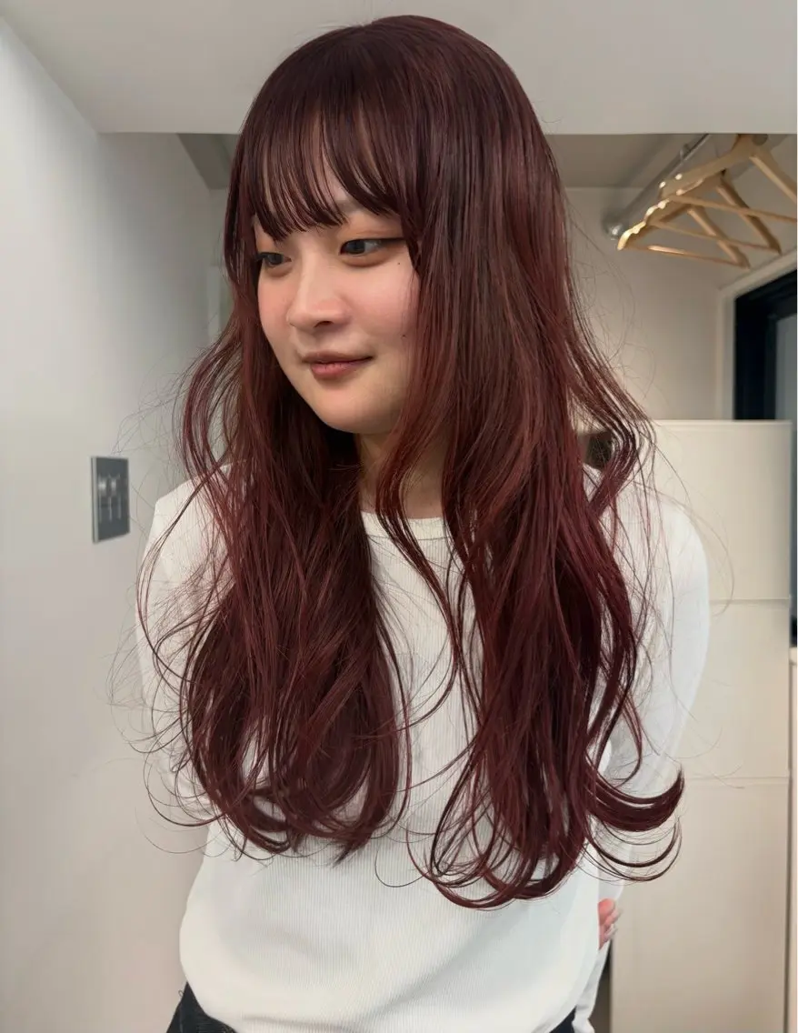 ワンカラーの写真