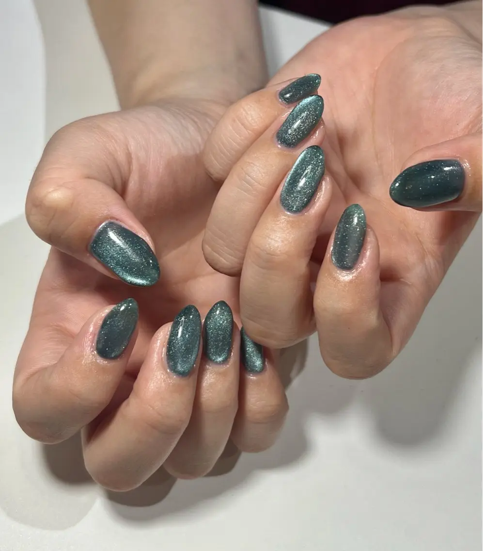 ネイル マグネットネイル hills nail /Asukaのネイルデザイン