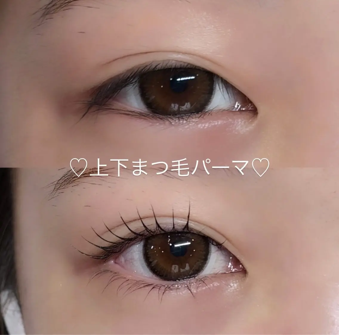 【新規様限定クーポン🌻】トリートメント・コーティング付き⭐️上下まつ毛パーマ👀✨の写真