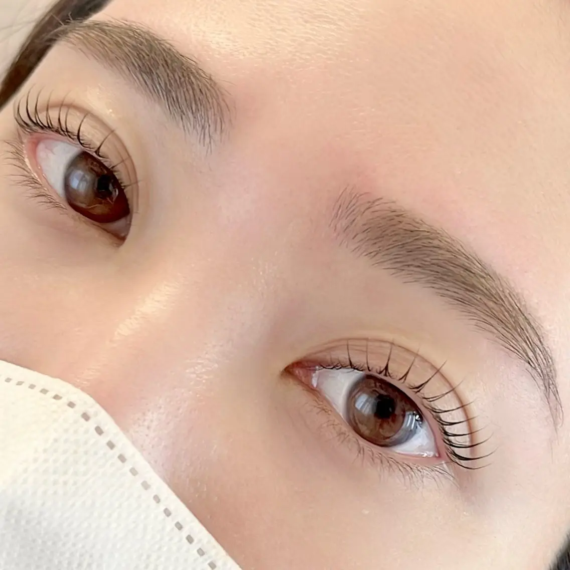 アイブロウ LELEGANCE eyelashの眉毛・アイブロウイメージ