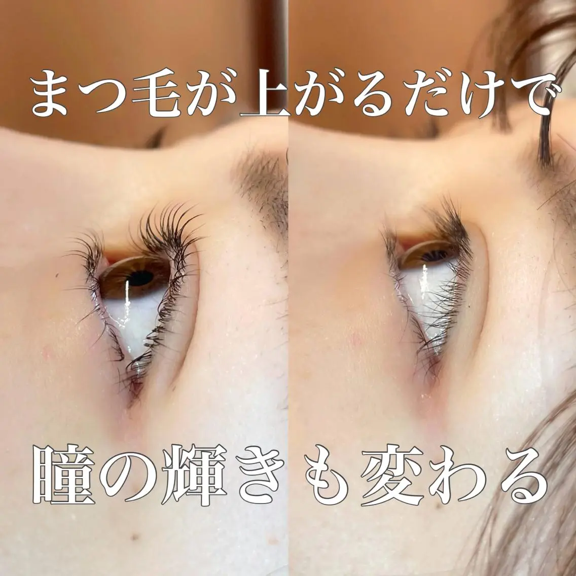 マツエク・マツパ 下まつげエクステ 一重×まつ毛パーマ eight ルナのマツエク・マツパデザイン
