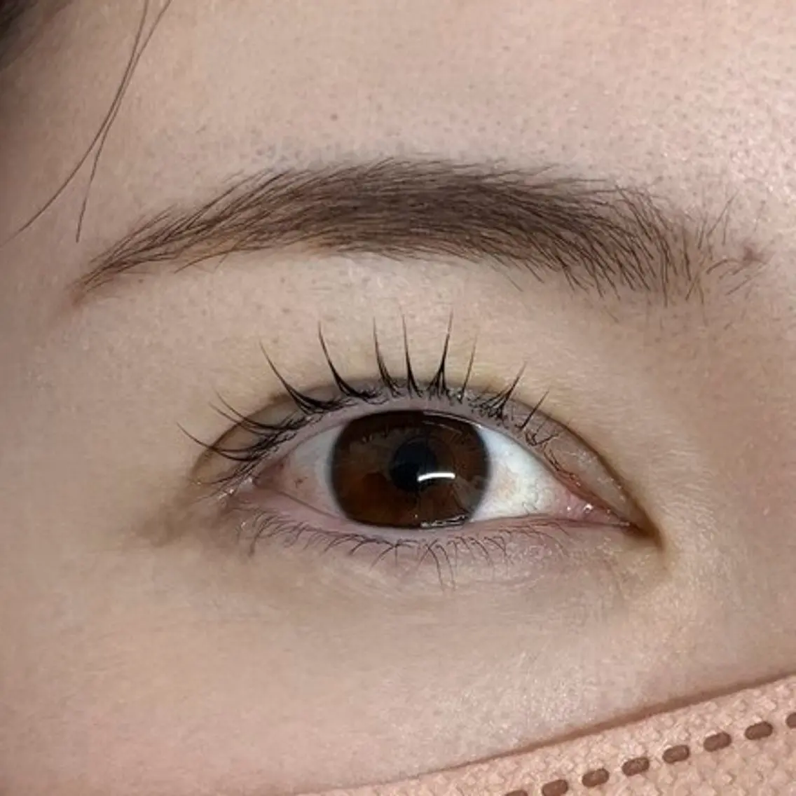 【アイブロウ】眉wax+カット+間引きの写真
